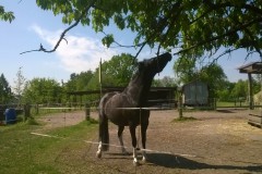 IMG-20160513-WA0008-Kopie