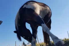 IMG-20180724-WA0002-Kopie