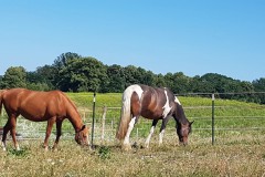 IMG-20180724-WA0003-Kopie