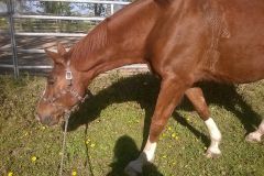 IMG-20210102-WA0021