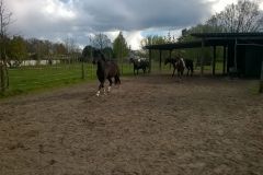 IMG-20210102-WA0022