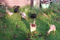 IMG_20201113_085921