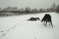 IMG_20210103_133227