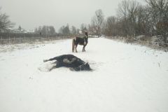 IMG_20210103_133309