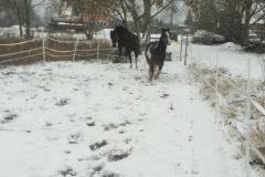 IMG_20210103_133552
