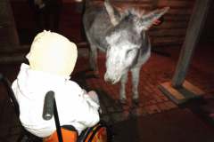 IMG_20210107_173304