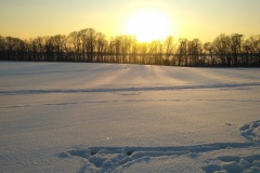 IMG_20210210_163137