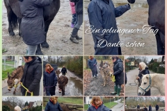 InCollage_20230402_104537559