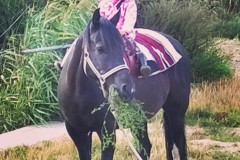 InstagramCapture_aa34f8bd-4fab-468c-a480-4c7b67737452-Kopie