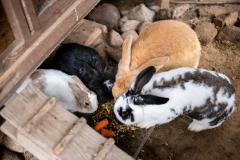 IMG-20191017-WA0006