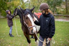 IMG-20191017-WA0008